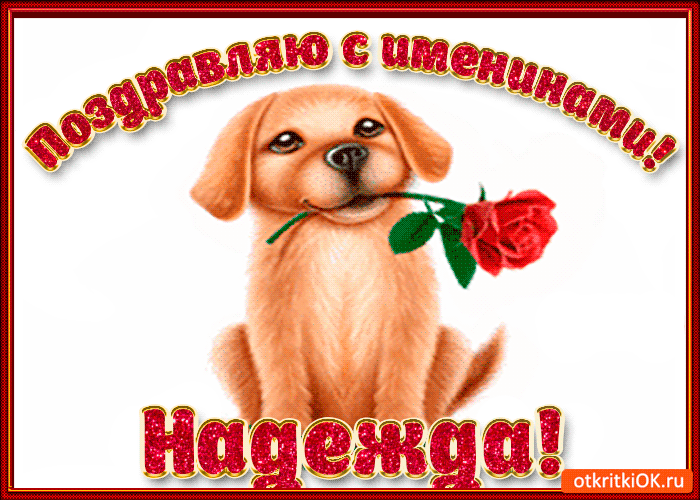 https://upforme.ru/uploads/0004/02/e8/9896/299909.gif
