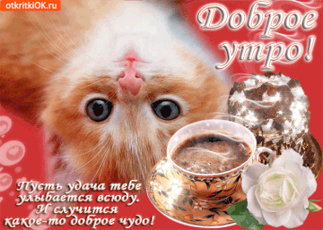 https://upforme.ru/uploads/0004/02/e8/9917/t150983.gif