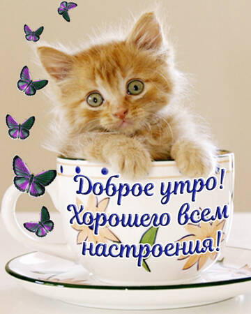 https://upforme.ru/uploads/0004/02/e8/9917/t218746.jpg