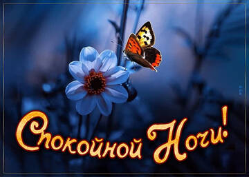 https://upforme.ru/uploads/0004/02/e8/9917/t339181.jpg
