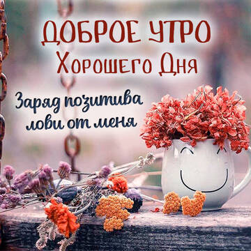 https://upforme.ru/uploads/0004/02/e8/9917/t445716.jpg