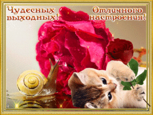 https://upforme.ru/uploads/0004/02/e8/9917/t615419.gif