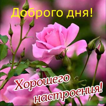 https://upforme.ru/uploads/0004/02/e8/9917/t861761.jpg