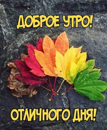 https://upforme.ru/uploads/0004/02/e8/9917/t973473.jpg