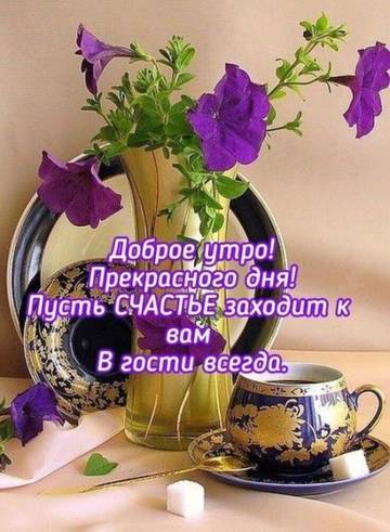 https://upforme.ru/uploads/0004/02/e8/9917/t990379.jpg