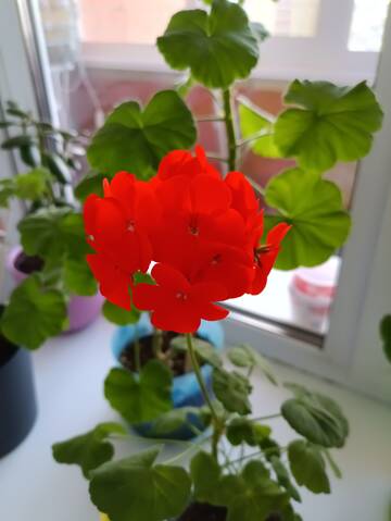 https://upforme.ru/uploads/0004/25/02/22/t953103.jpg