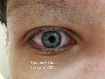 https://upforme.ru/uploads/0004/27/45/2345/t217653.jpg