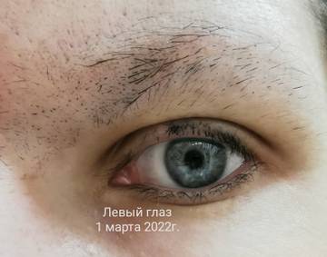 https://upforme.ru/uploads/0004/27/45/2345/t51949.jpg