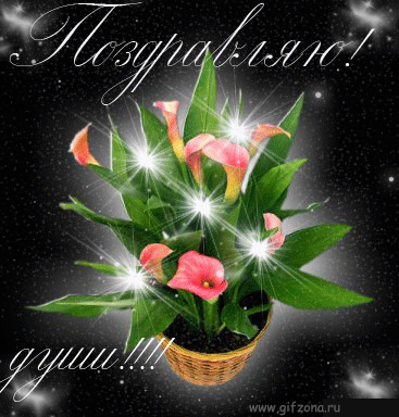 https://upforme.ru/uploads/0004/2b/69/118904-1-f.gif