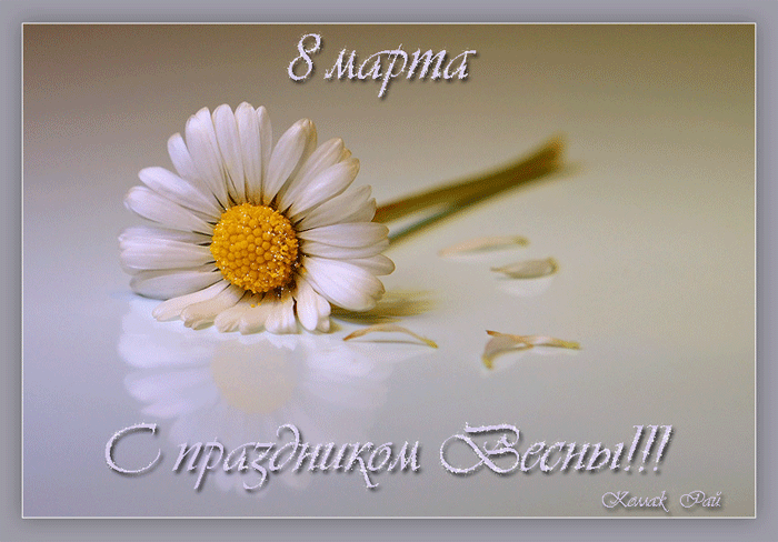 https://upforme.ru/uploads/0004/2b/69/70439-3-f.gif