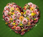 https://upforme.ru/uploads/0004/2b/69/88538-3.jpg