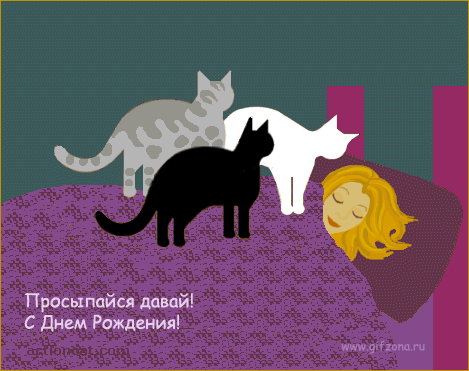 https://upforme.ru/uploads/0004/2b/69/89076-2-f.gif