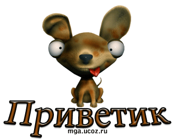 https://upforme.ru/uploads/0004/2b/69/92167-4-f.gif