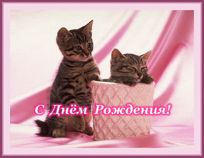 https://upforme.ru/uploads/0004/2b/69/92167-5-f.gif