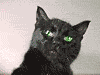 https://upforme.ru/uploads/0004/34/a6/22-3.gif