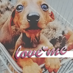 https://upforme.ru/uploads/0004/5d/e9/160826-1.png