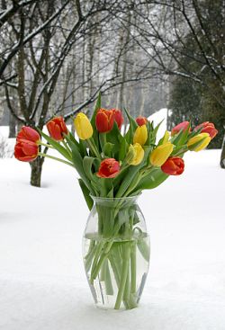 https://upforme.ru/uploads/0004/73/53/14556-5-f.jpg