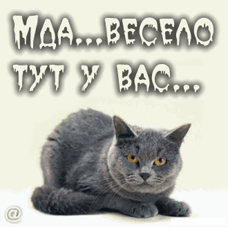 https://upforme.ru/uploads/0004/73/53/16119-5-f.gif