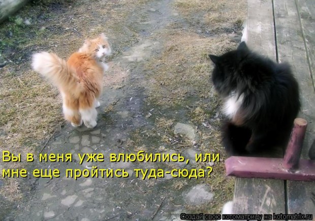 https://upforme.ru/uploads/0004/73/53/16160-1-f.jpg