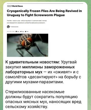 https://upforme.ru/uploads/0004/8b/ec/4060/t428020.jpg