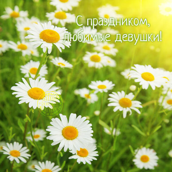 https://upforme.ru/uploads/0004/8b/ec/4060/t943758.jpg