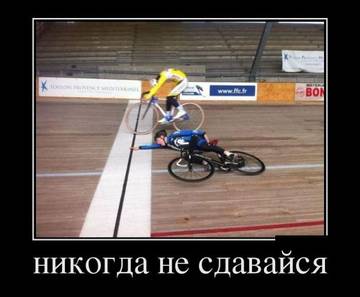 https://upforme.ru/uploads/0004/8b/ec/5152/t309602.jpg