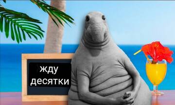 https://upforme.ru/uploads/0004/8b/ec/5152/t38179.jpg