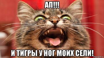 https://upforme.ru/uploads/0004/8b/ec/5152/t883831.jpg