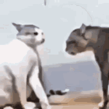 https://upforme.ru/uploads/0004/8b/ec/5788/t886754.gif