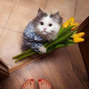https://upforme.ru/uploads/0004/8b/ec/6011/t244267.jpg