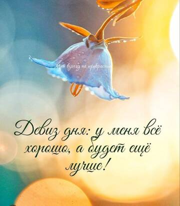 https://upforme.ru/uploads/0004/8b/ec/6556/t394851.jpg