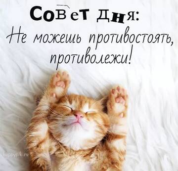https://upforme.ru/uploads/0004/8b/ec/6556/t489547.jpg