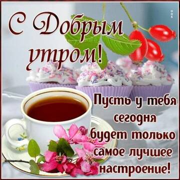 https://upforme.ru/uploads/0004/8b/ec/6556/t680078.jpg