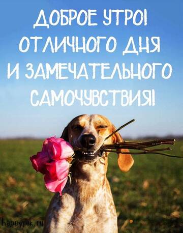 https://upforme.ru/uploads/0004/8b/ec/6556/t843305.jpg
