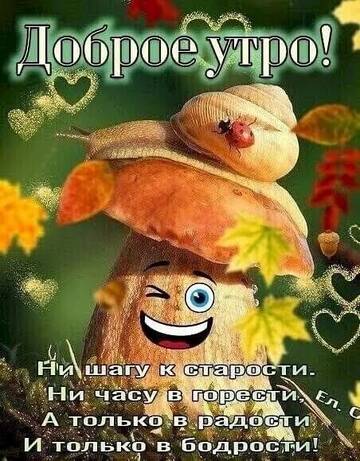 https://upforme.ru/uploads/0004/8b/ec/6556/t907926.jpg