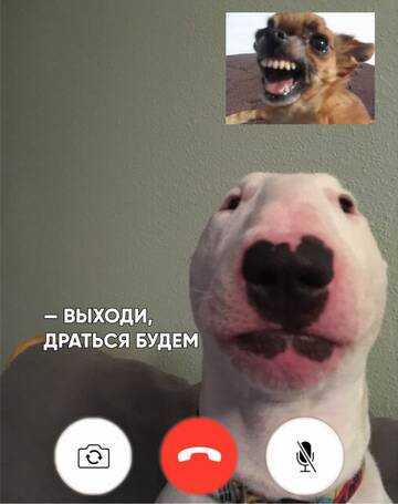 https://upforme.ru/uploads/0004/8f/99/1635/t911731.jpg
