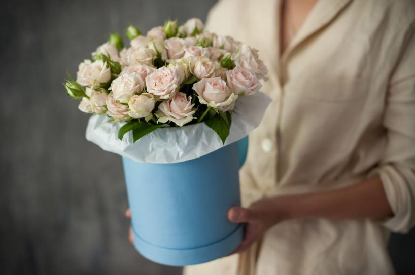 https://upforme.ru/uploads/0004/d9/6b/1833/736134.jpg
