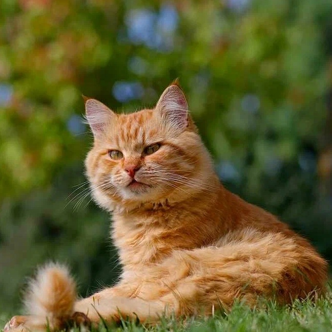 https://upforme.ru/uploads/0004/e7/0d/2/83391.jpg