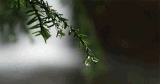 https://upforme.ru/uploads/0004/e7/0d/2747/t756071.gif