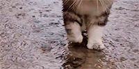 https://upforme.ru/uploads/0004/e7/0d/2754/167959.gif
