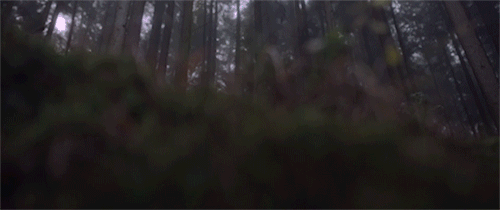 https://upforme.ru/uploads/0004/e7/0d/2902/37158.gif