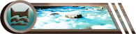https://upforme.ru/uploads/0004/e7/0d/2902/464654.png