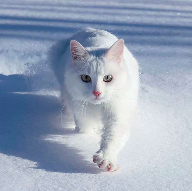 https://upforme.ru/uploads/0004/e7/0d/3788/871821.png