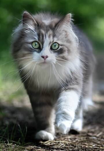 https://upforme.ru/uploads/0004/e7/0d/3912/t175047.jpg