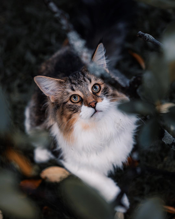 https://upforme.ru/uploads/0004/e7/0d/3921/797248.png