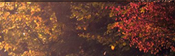 https://upforme.ru/uploads/0004/e7/0d/3950/101779.png