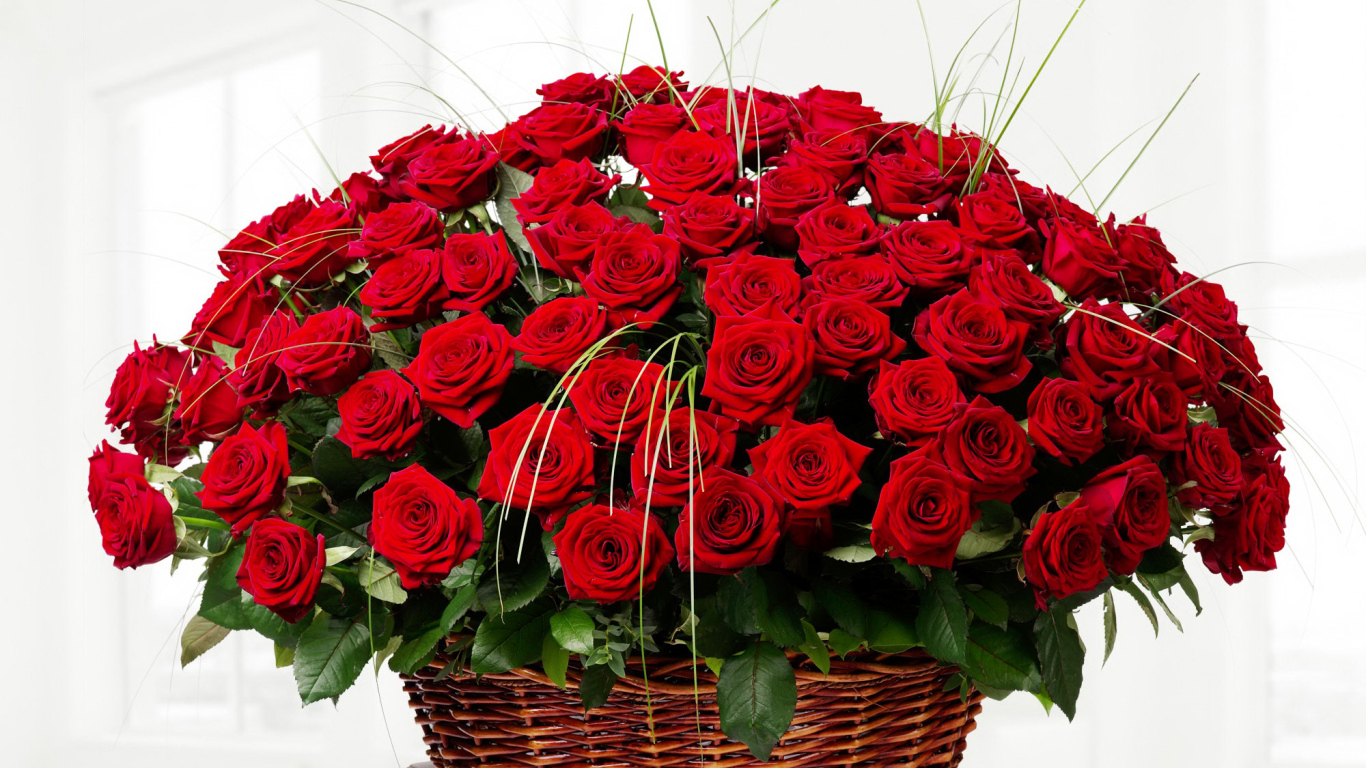 https://upforme.ru/uploads/0004/ec/dc/178/799250.jpg