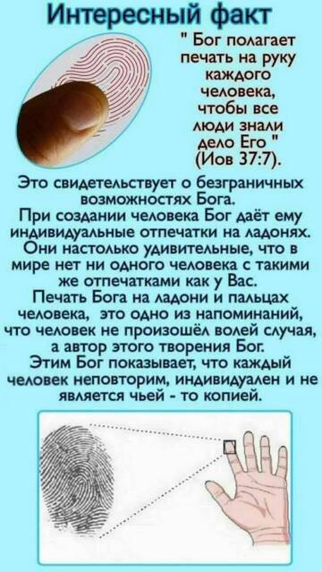 https://upforme.ru/uploads/0005/04/af/2723/t39388.jpg