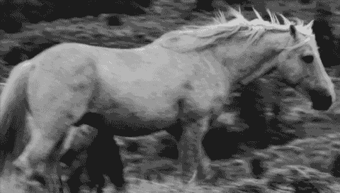 https://upforme.ru/uploads/0005/34/47/2/t735179.gif