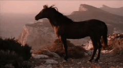 https://upforme.ru/uploads/0005/34/47/959/t691186.gif